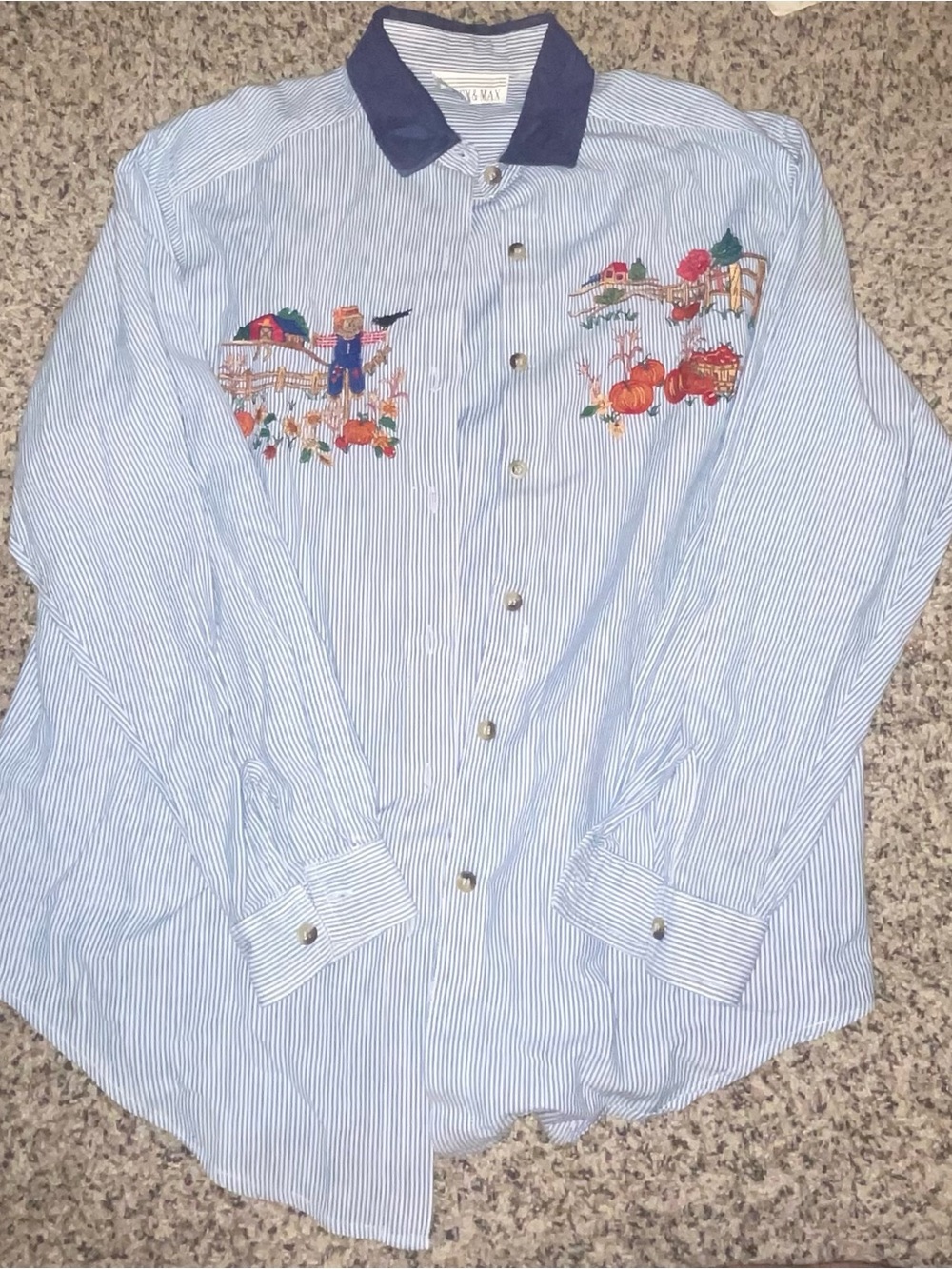 Casey&Max Blue Striped Button-Down Shirt with Autumn Embroidery